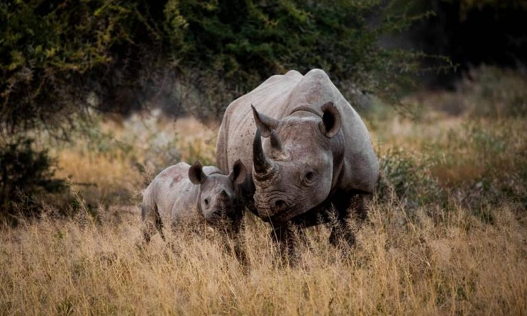 ofertas viajes baratos Sudáfrica Diciembre