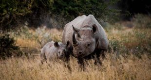 viajes baratos Sudáfrica Marzo 2026